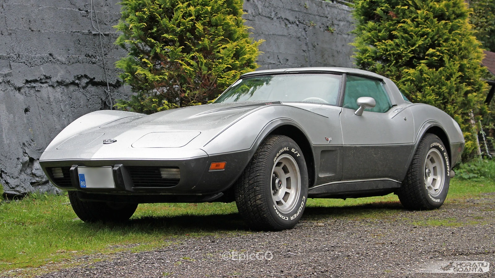 Corvette C3 Silver Anniversary